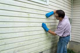 Best Siding for Commercial Buildings  in Tye, TX